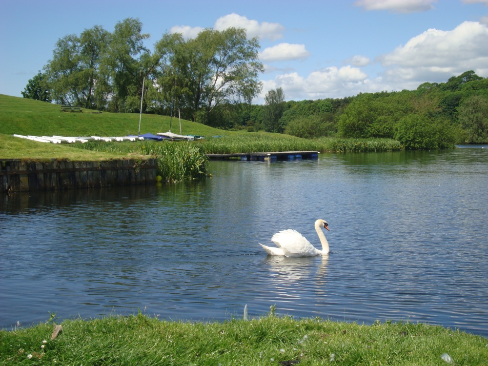 Photograph of Linlithgow Loch