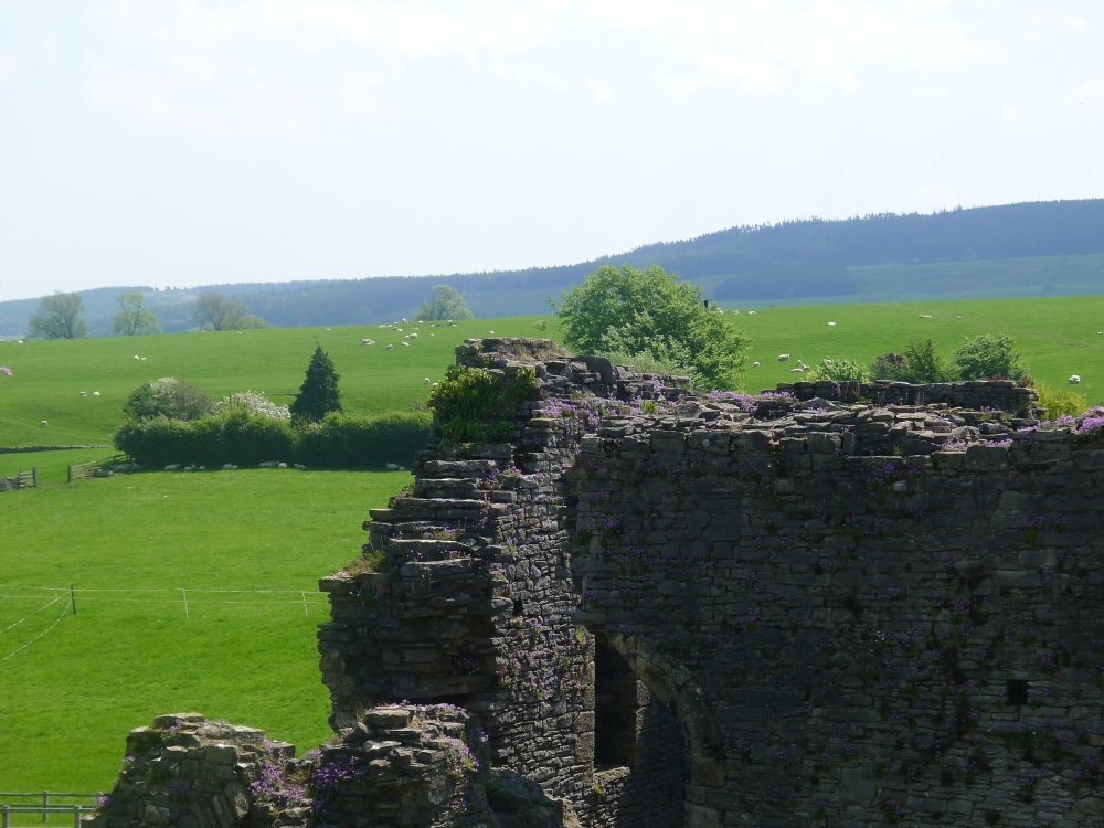 Middleham Castle photo by Ken Marshall