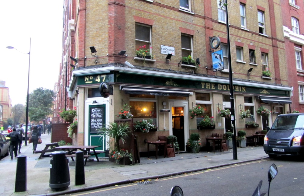 The Dolphin
