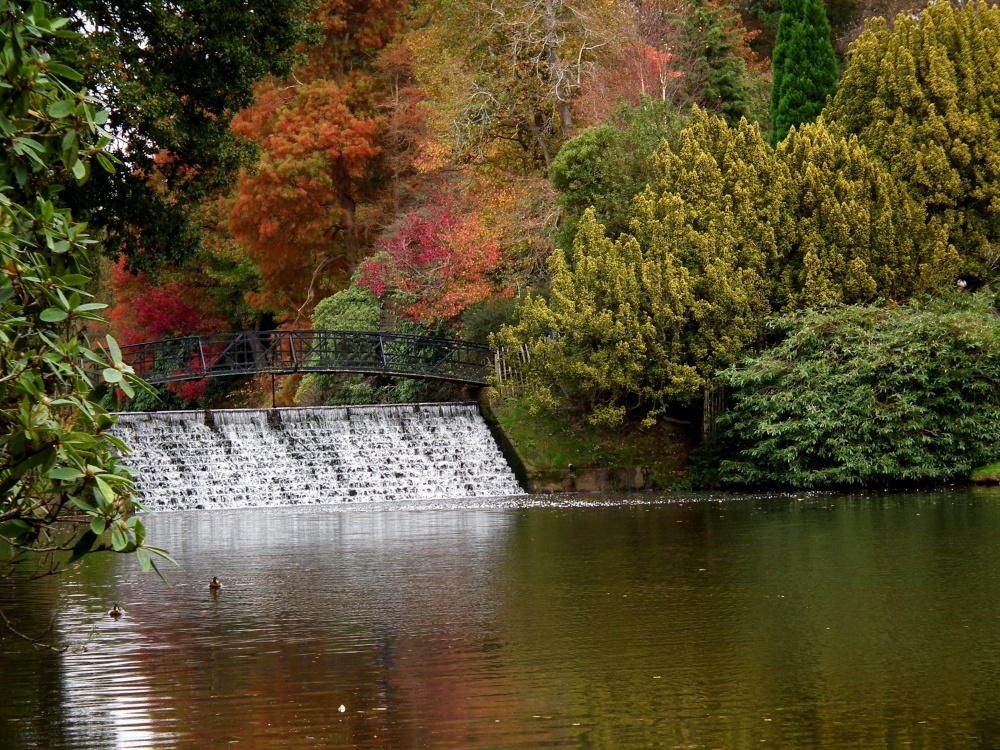 Sheffield Park Garden