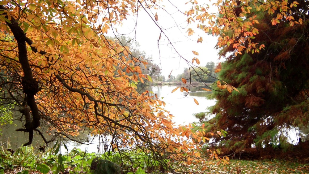 Sheffield Park Garden