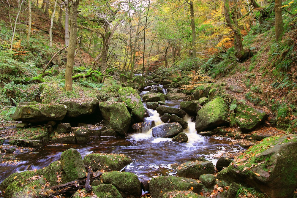 Padley Gorge photo by James Carter