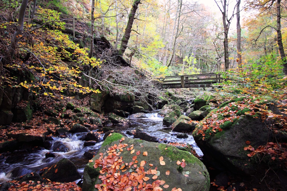Padley Gorge