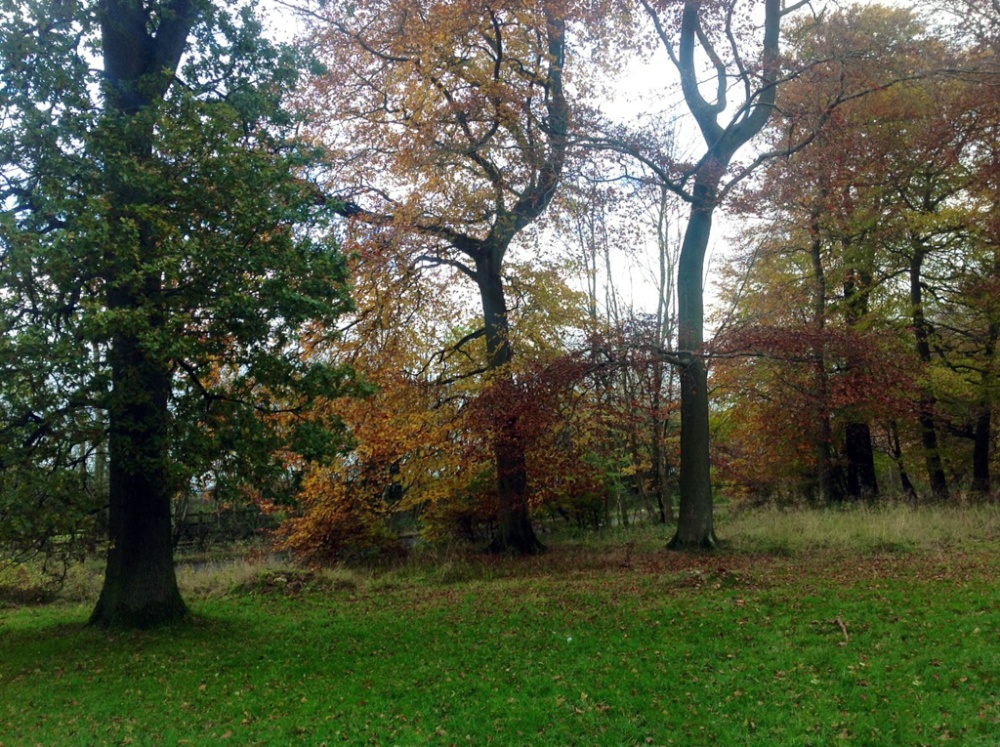 Christmas Common, Oxfordshire