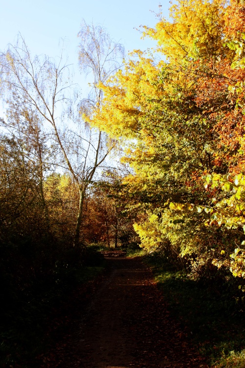 Kingsbury Water Park