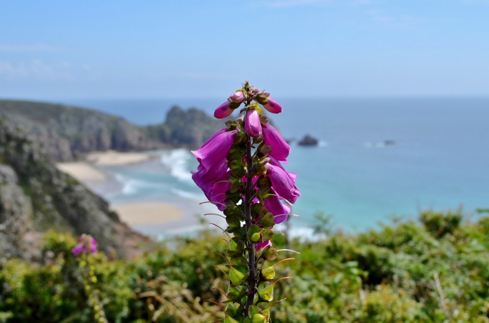 Photograph of Porthcurno, Cornwall