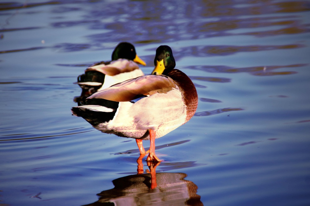 Kingsbury Water Park
