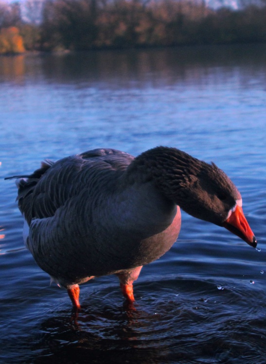 Kingsbury Water Park
