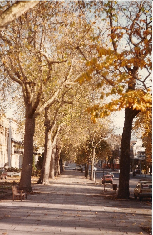 Cheltenham's Regency Promenade
