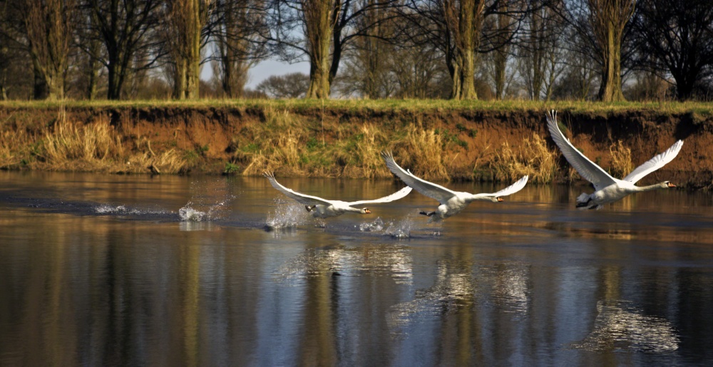 Up, up and away, River Trent