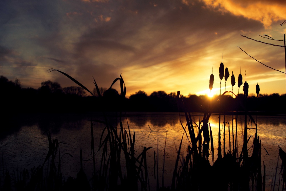 Kingsbury Water Park
