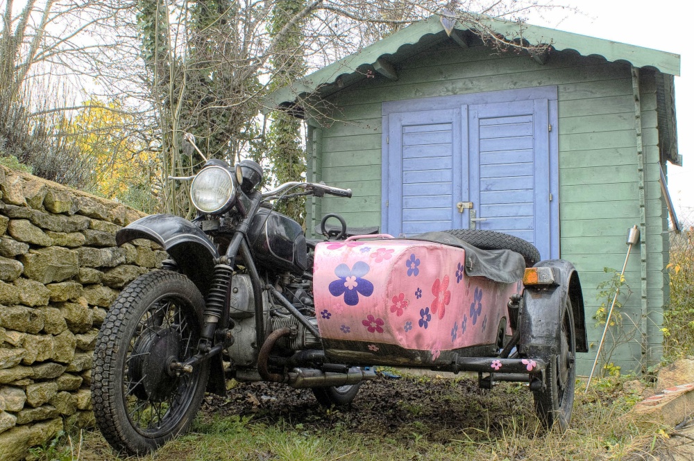 Quirky colour pictured in Horsley