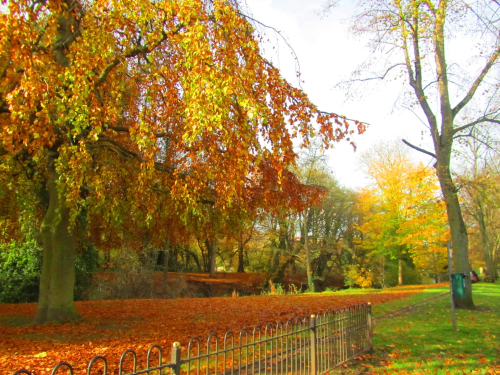 Autumn in Matlock