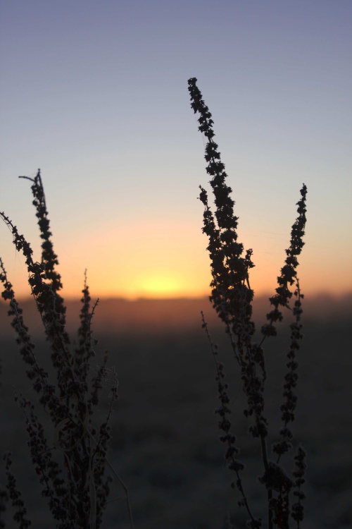 Kingsbury Water Park