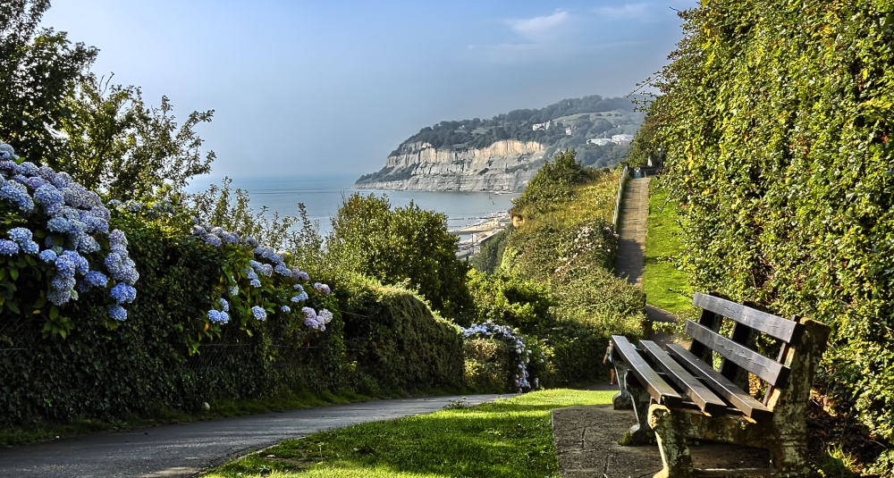 Photograph of Cliff top path, Shanklin, Isle of Wight