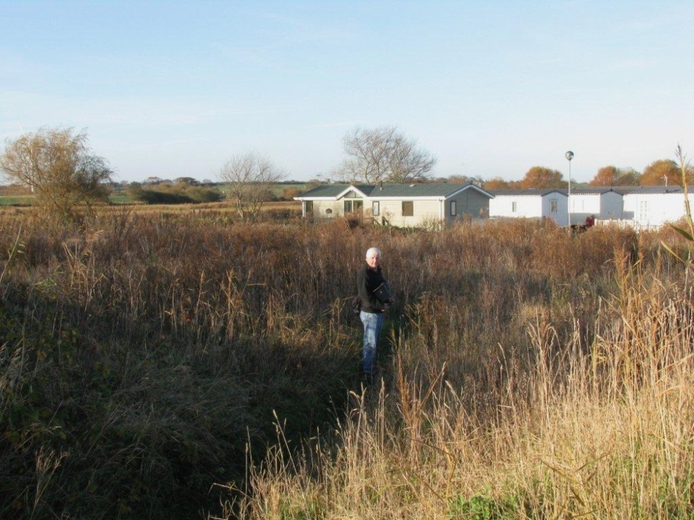 A nature walk at Kessingland