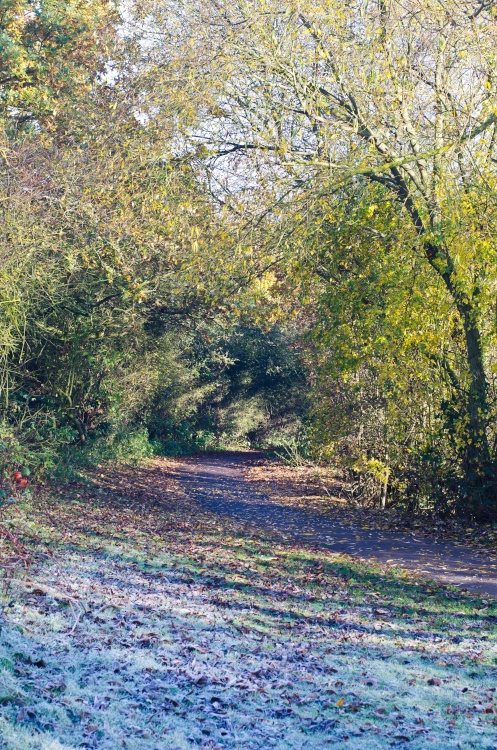 The path around Branston Water Park