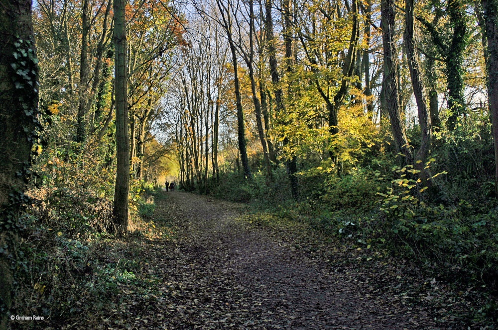 The North Dorset Trailway