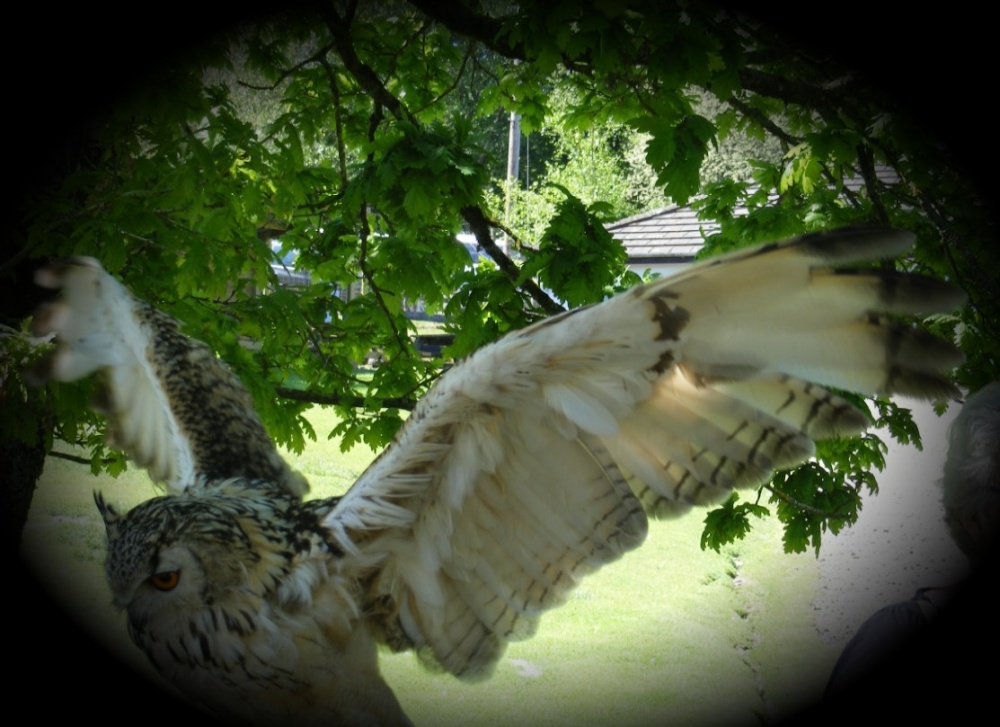 Time to stretch my wings I think