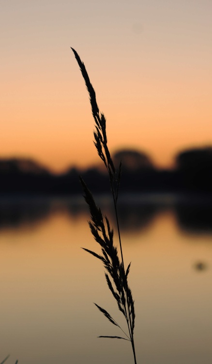 Kingsbury Water Park