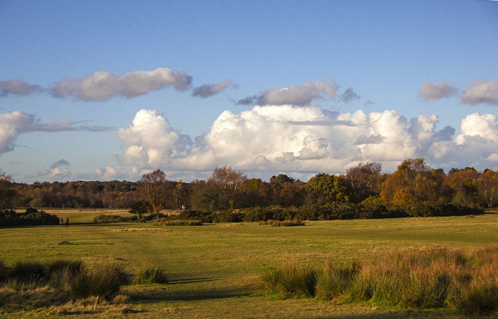 Sutton Park photo by John Godley