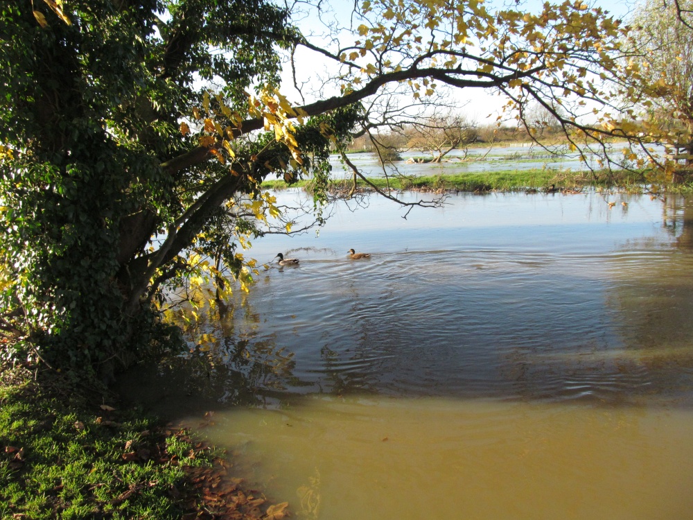 Denford Floods