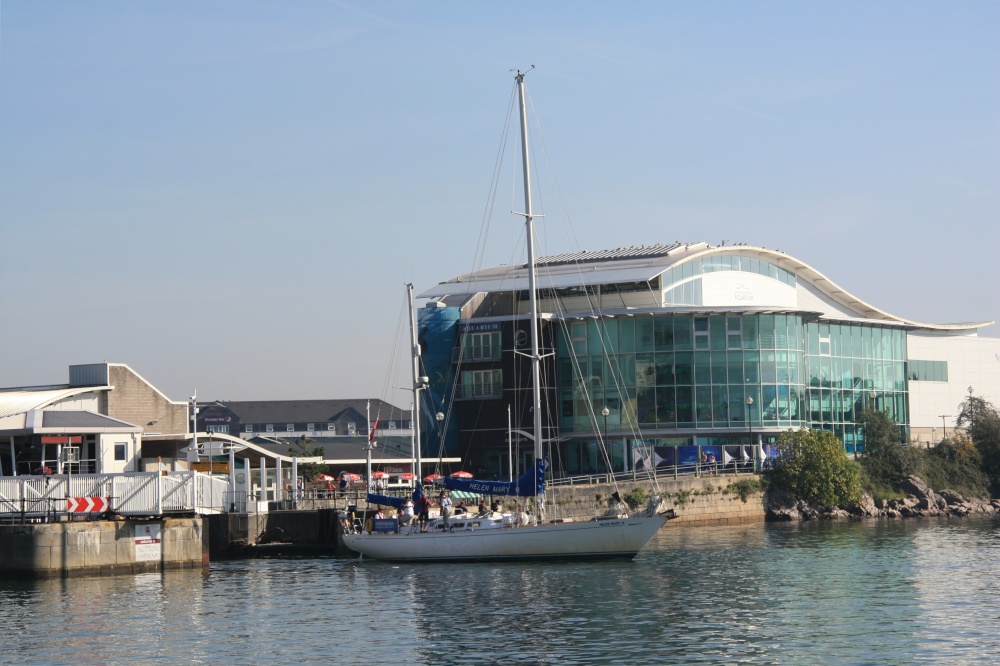 The aquarium, Plymouth Barbican