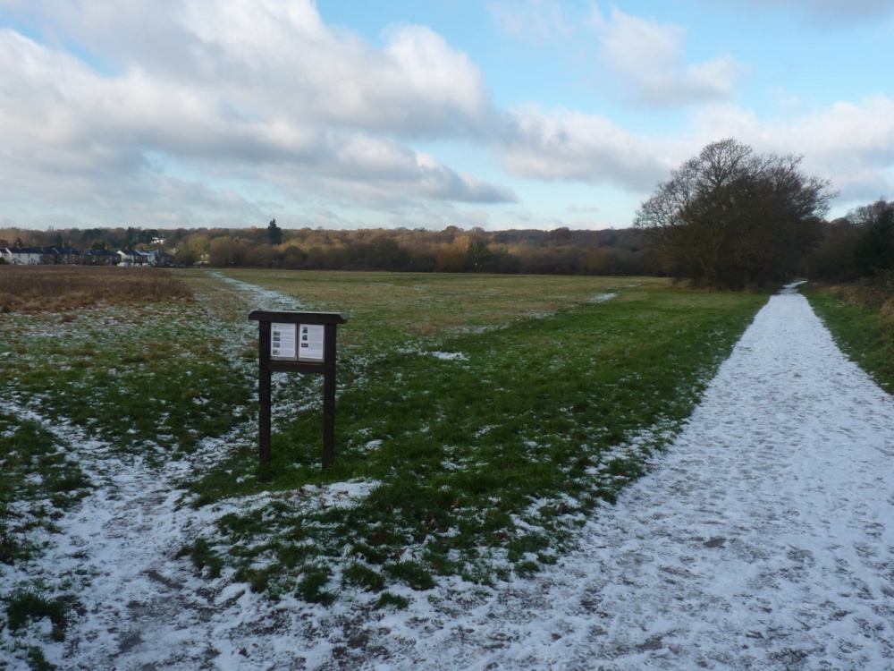 Ashtead Common