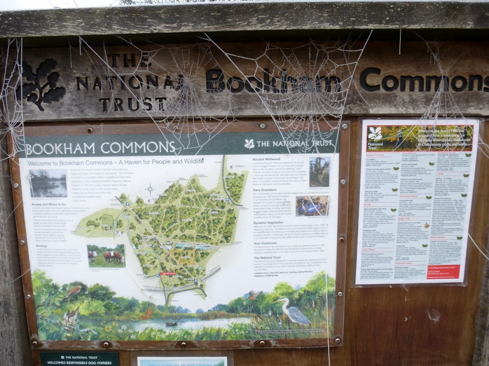 Notice Board and the web of ice.