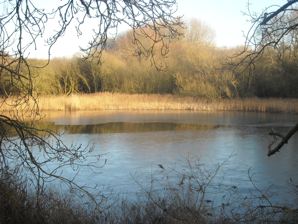 Photograph of Boddington Reservoir in Northamptonshire