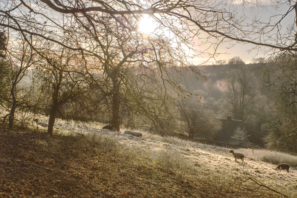 Photograph of Cotswold Winter
