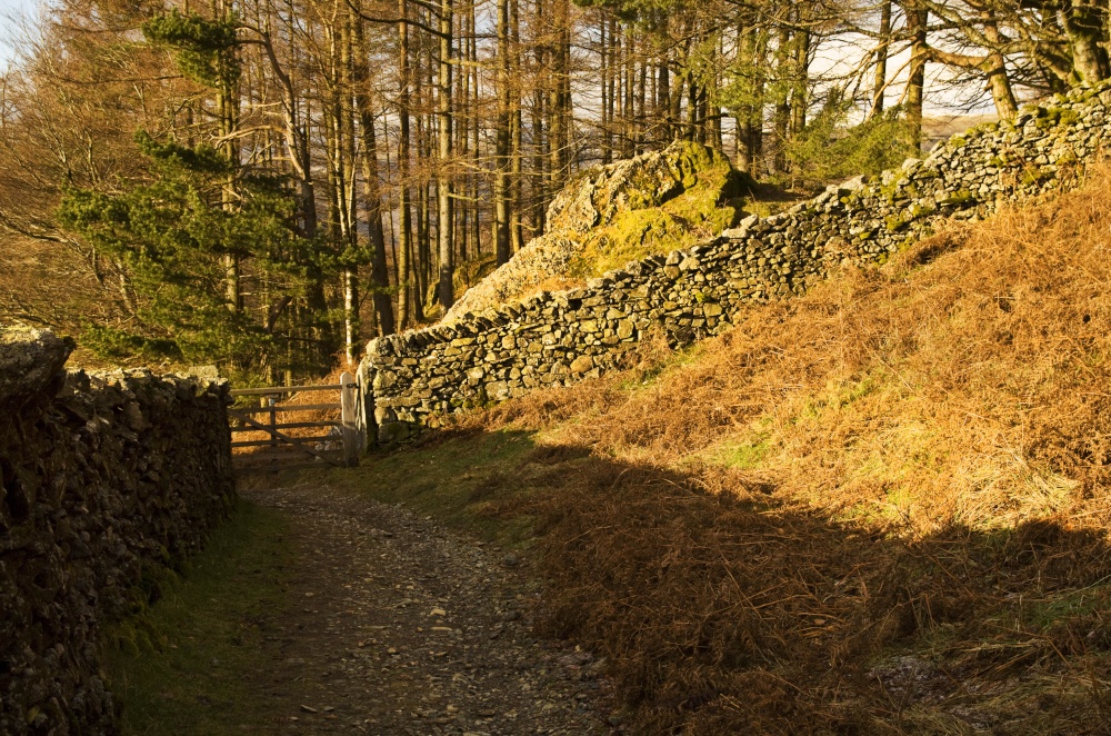 Footpath, Gate and Wall