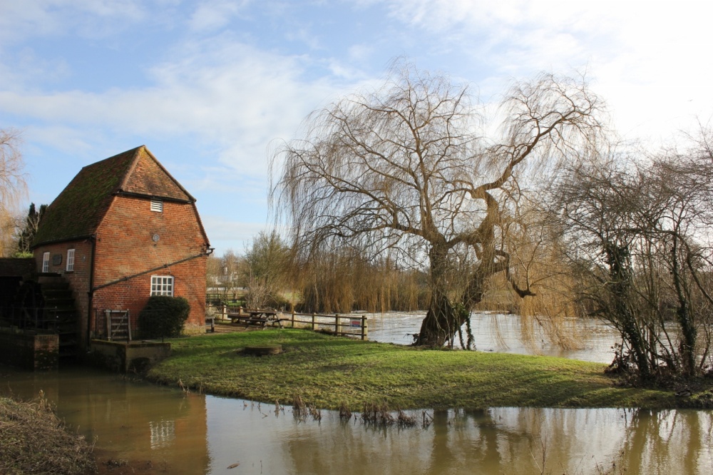 Photograph of The Mill at Cobham