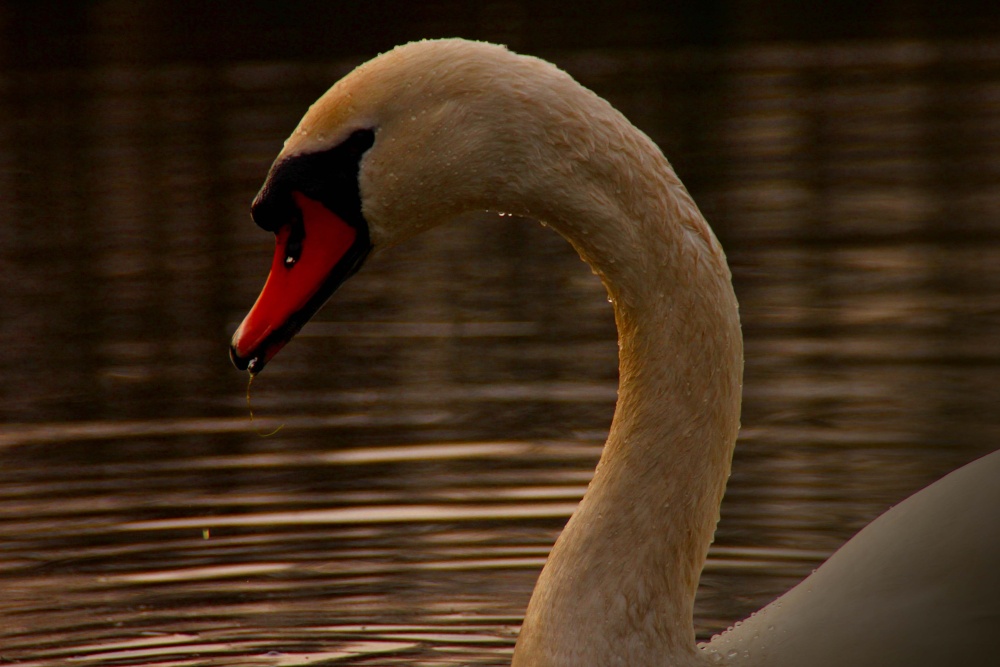 Kingsbury Water Park