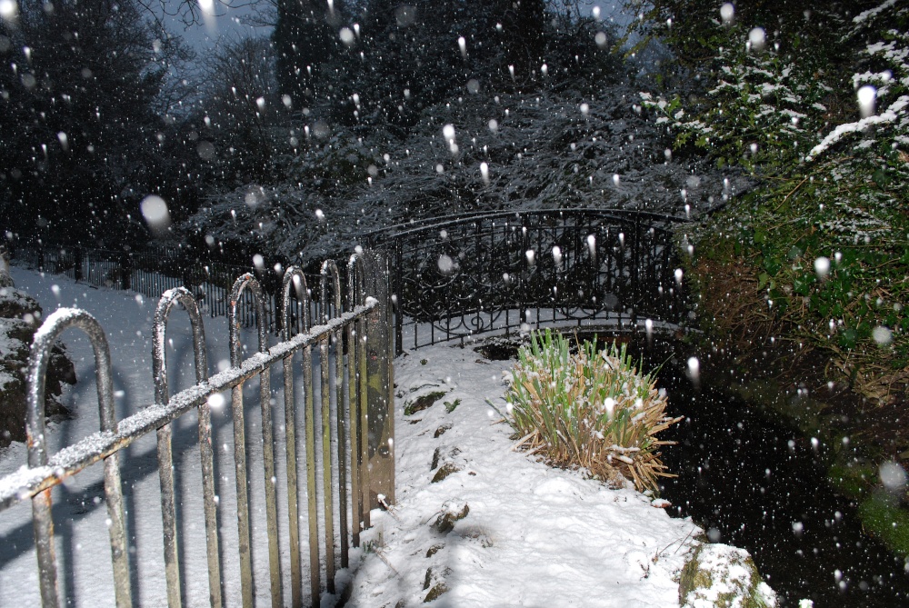 Fairy Dell In Roker Park