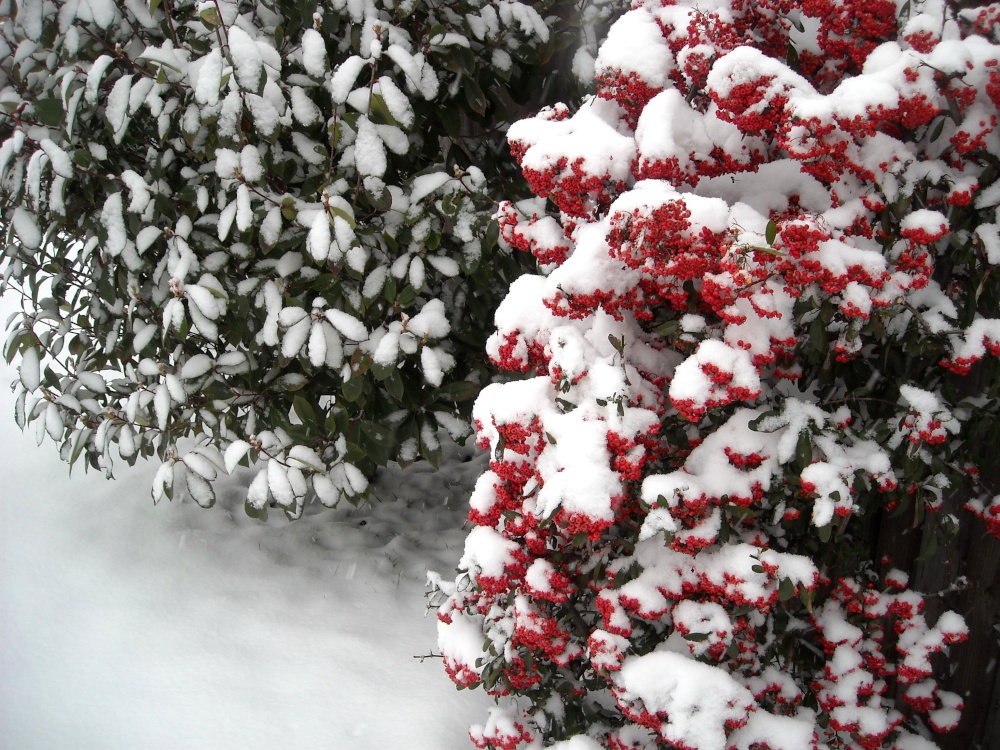 Photograph of Daventry