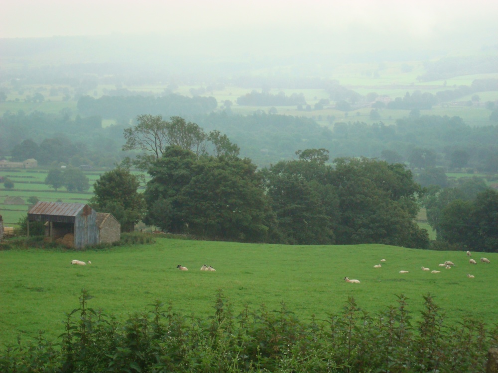 Grazing land at Wensleydale
