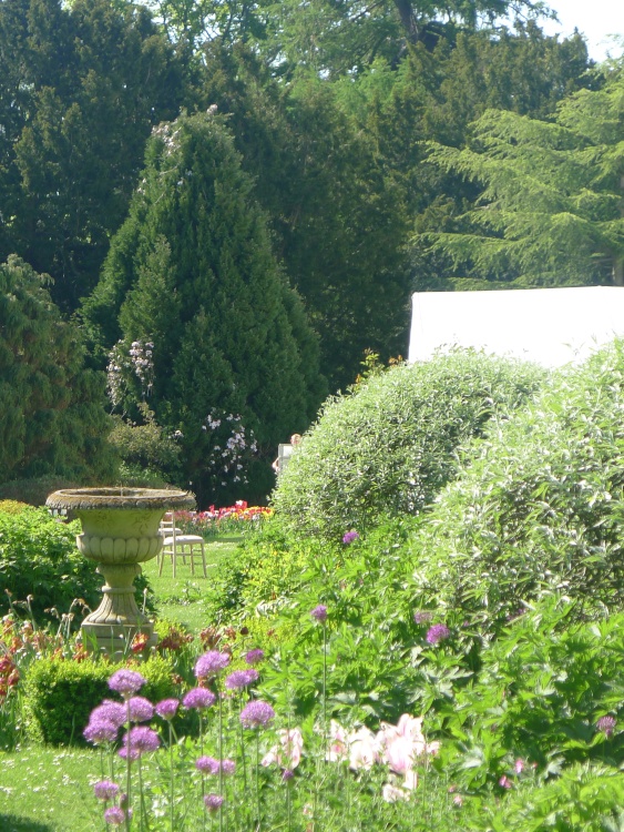 Garden at Constable Burton Hall Gardens