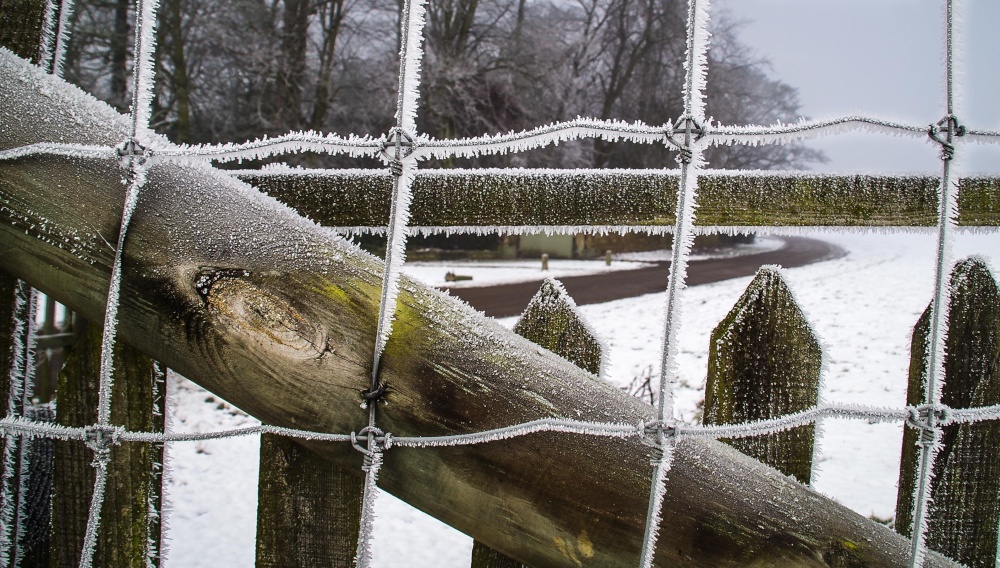 Knots and crosses. Wentworth, South Yorkshire