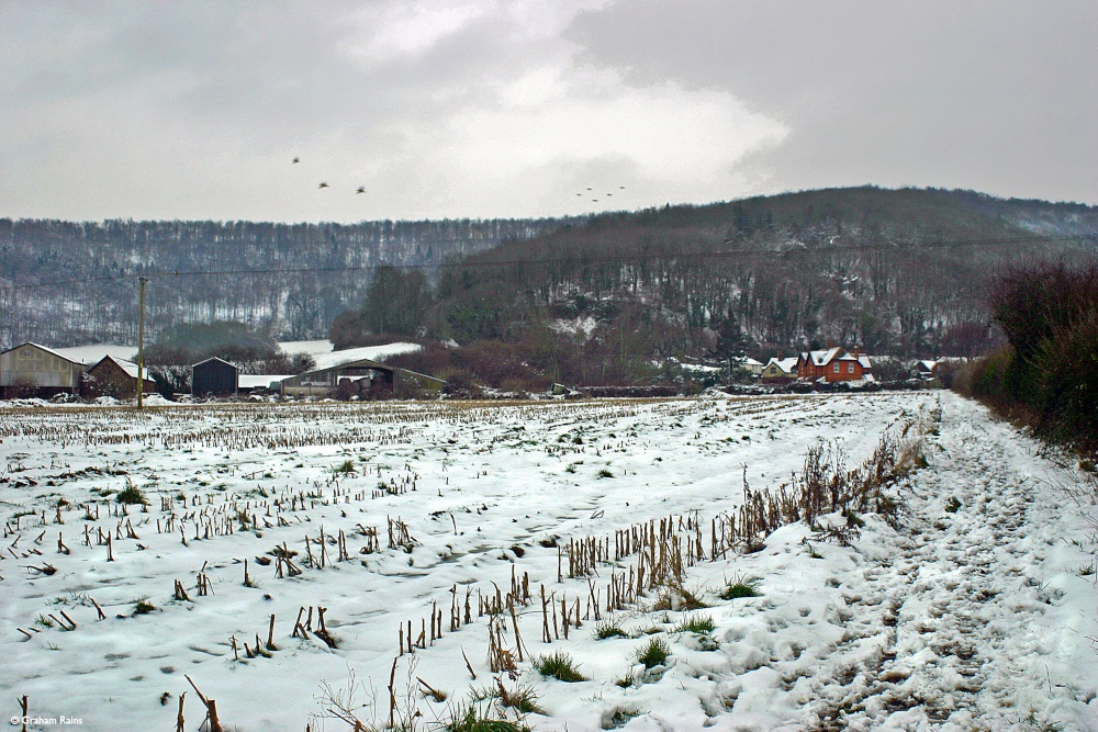 Stour Valley Winter, Shillingstone.
