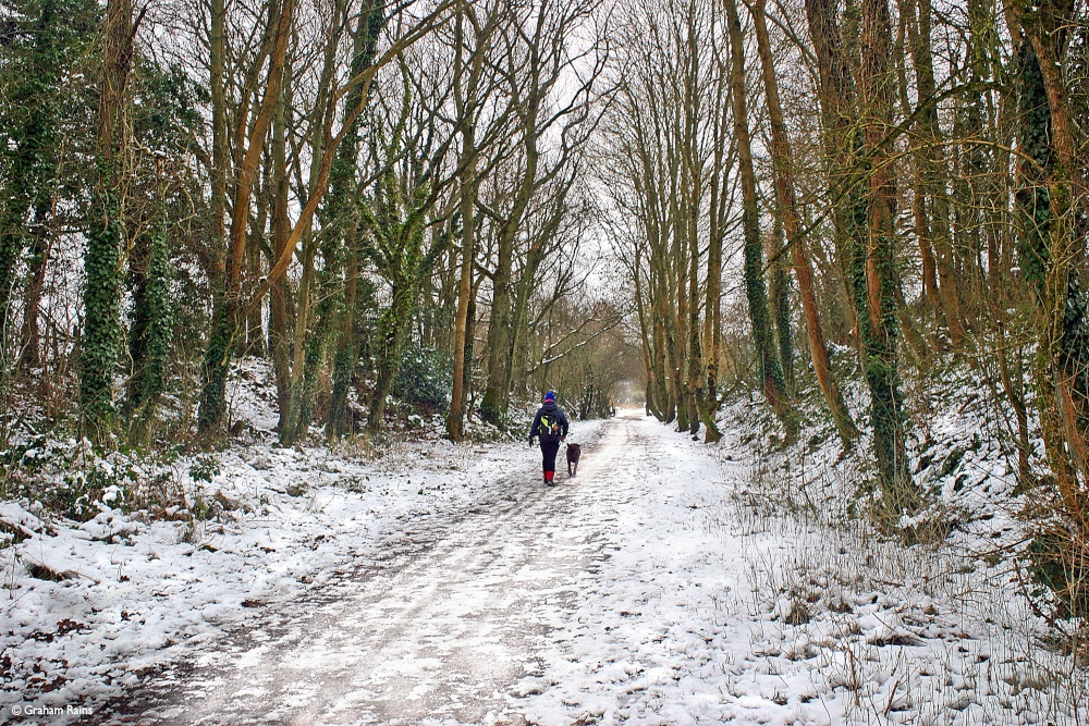 Stour Valley Winter, The North Dorset Trailway, Shillingstone.