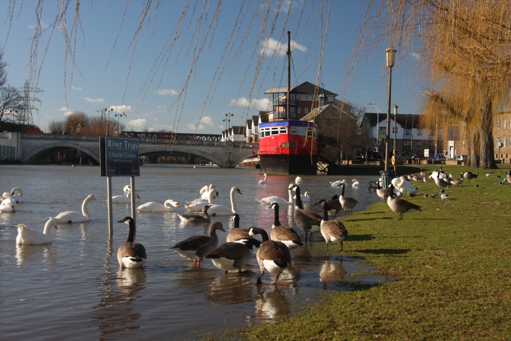 Peterborough, Cambridgeshire