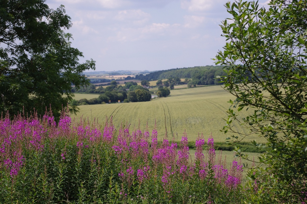 Pictures of Four Marks, Hampshire, England England Photography & History