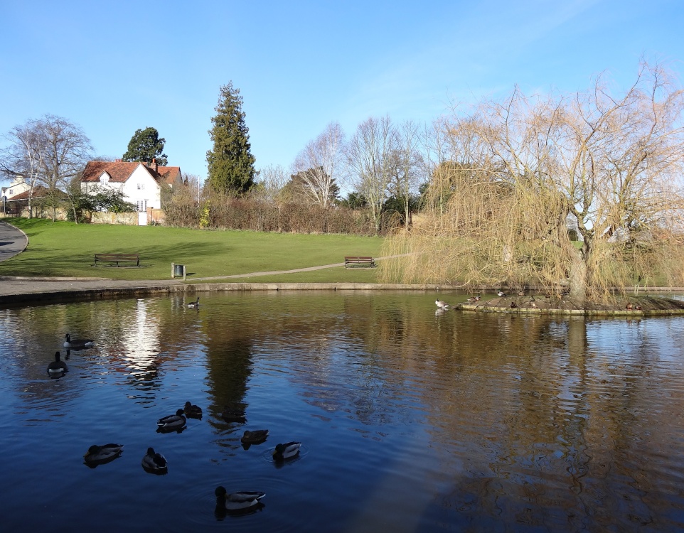 The Doctor's Pond at Great Dunmow, Essex