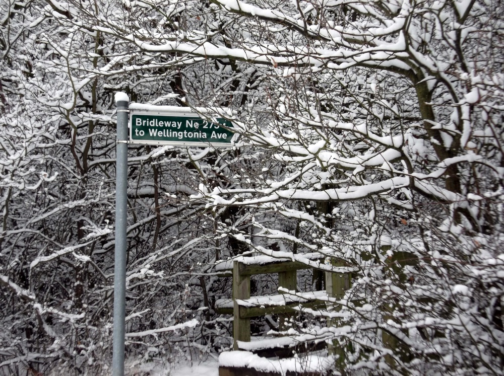 Havering Country Park, Romford photo by Chris Mac