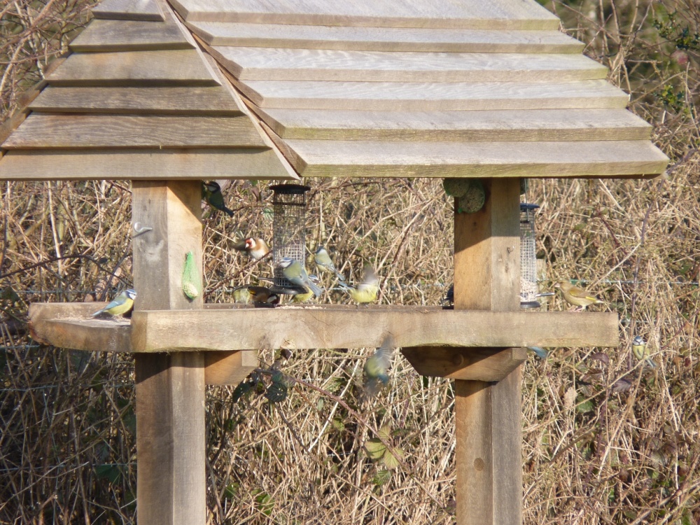 Fourteen and counting