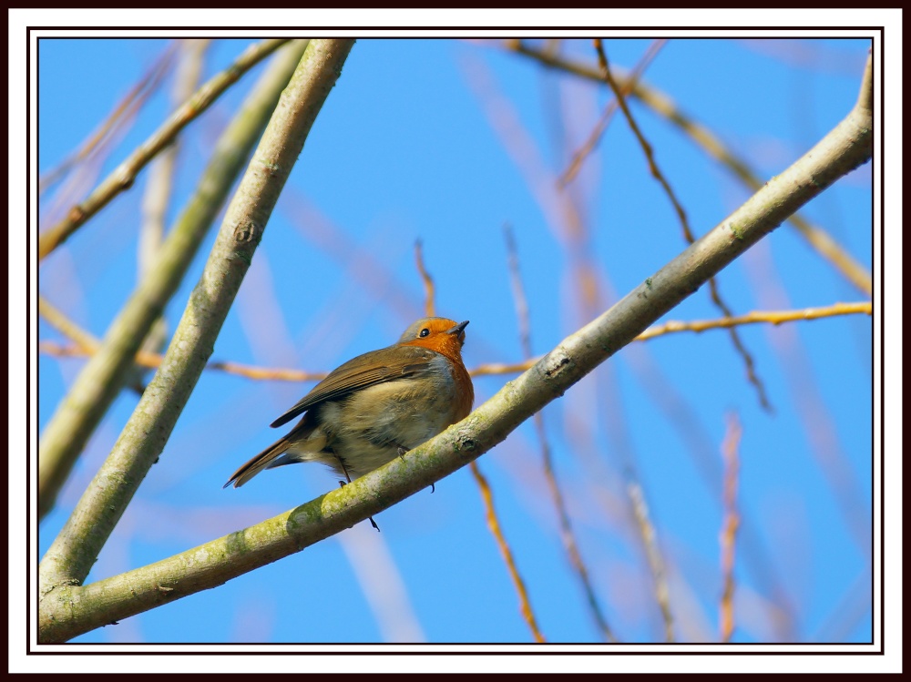 Photograph of Tilbury