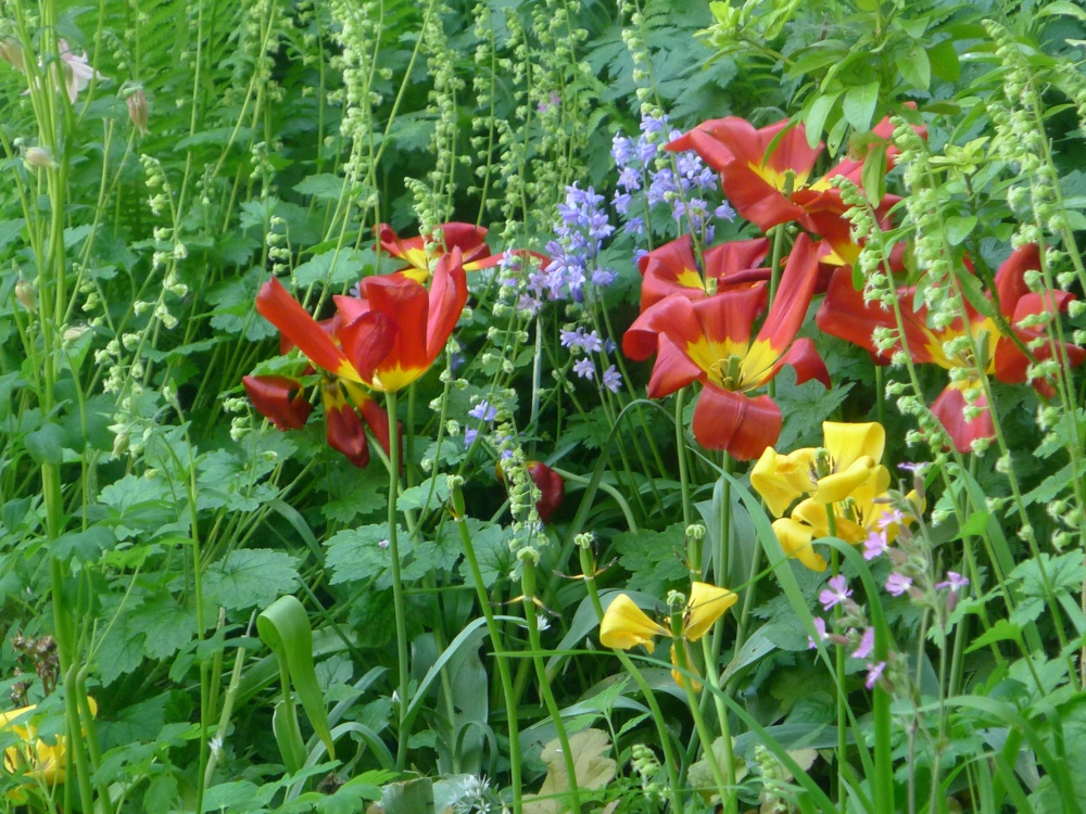 Flower Garden, Bronte Parsonage Museum, Haworth photo by Ken Marshall