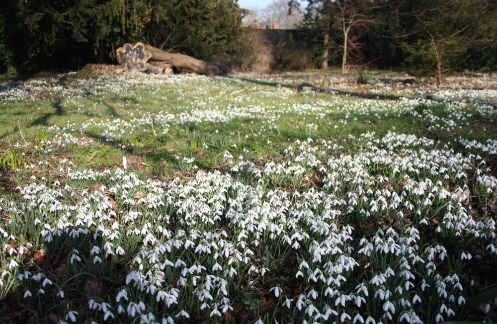 Photograph of At Walsingham Abbey