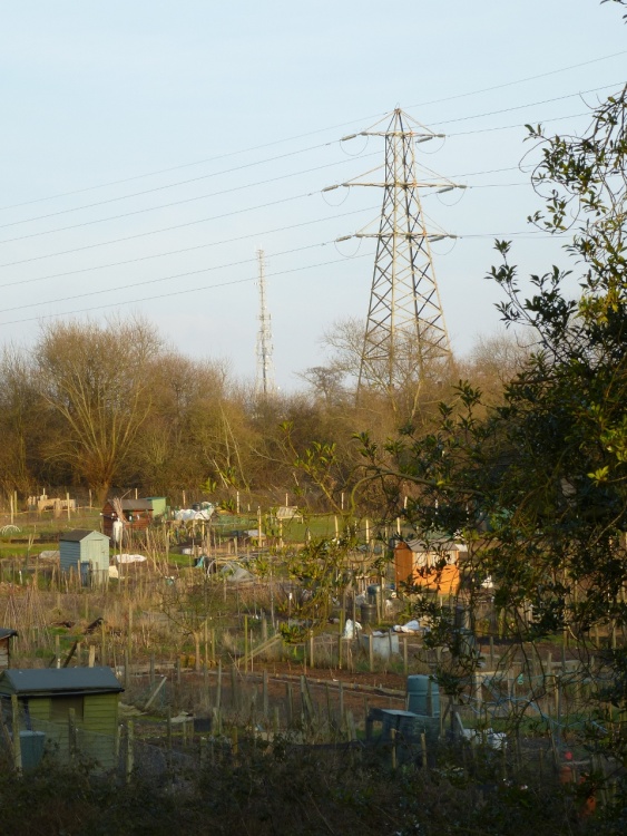 Electrifying Allotments